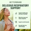Mullein gummies met hoge potentie, heilzaam voor de longgezondheid; toortsbladextract voor longreiniging; geschikt voor volwassenen.