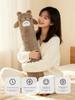 Totoro Rechargeable Long Hot Water Bottle for Warming the Bed, Extra Long 75cm, Safe and Explosion-Proof, for Girls to Warm Feet and Bed, Hot Compress