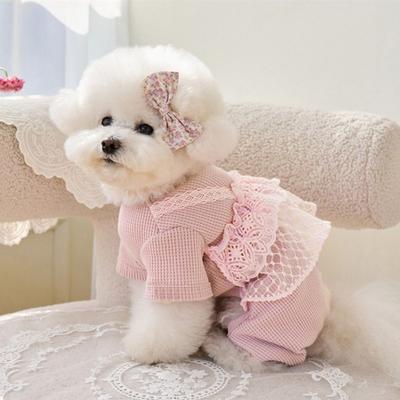 Fashion Lace Camisole Pet Spring Summer Jumpsuit Soft Breathable Pet Four Legged Coat Waffle Lace Dog Pajamas Autumn