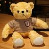 Kawaii Hug Sweater Teddy Bear Plush Dolls Lovely Bear with Clothes Holding Heart Pillow Nice Wedding Valentine 'S Gifts