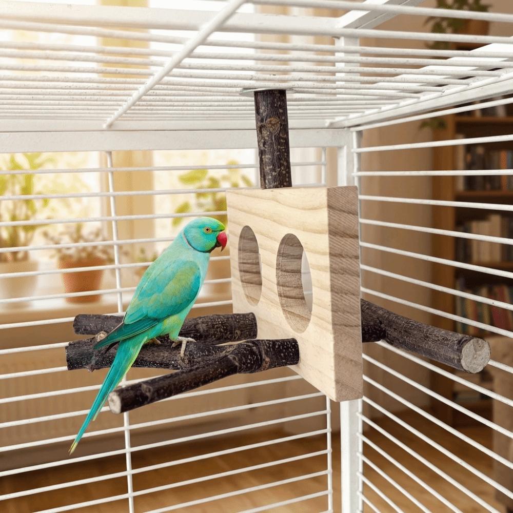 Natural Wood Bird Branch Stand Double-hole Perch Wear-resistant Bird Stand Perch Detachable Chew-able Beak Grinding Toy