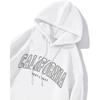Unisex Casual Letter Print Spring/Autumn Hoodie