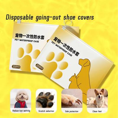 Psi – Péče o psa