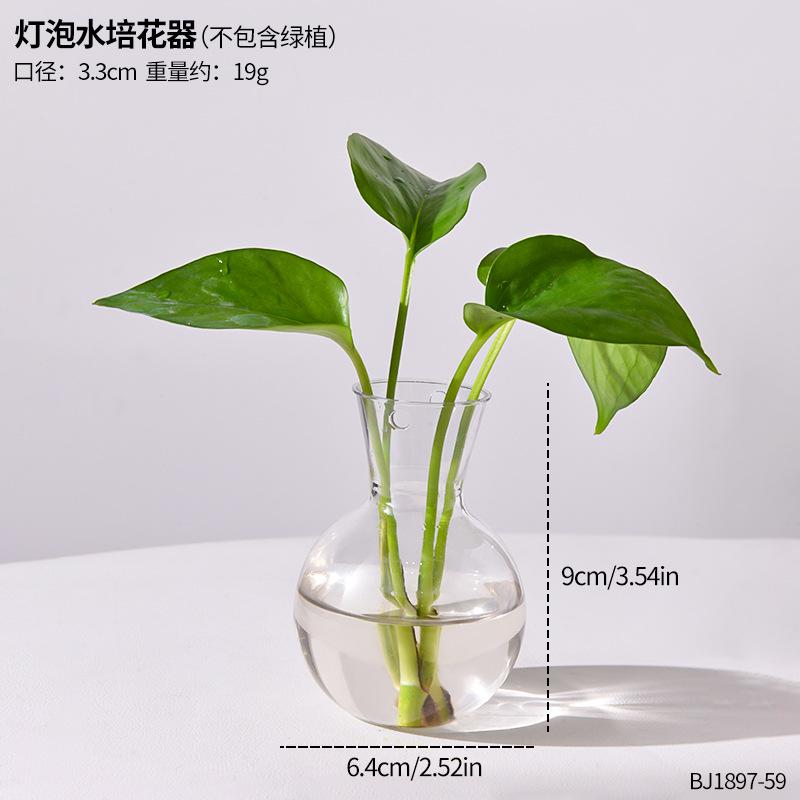 Pflanzen Reagenzglas Hydroponik Vase Wassergezüchtetes Blumenarrangement Pflanzenbehälter Einfacher Holzrahmen Dekorationen Kreative Glasvasen