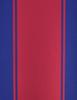 FC Barcelona Rashford kit shirt shorts junior box 2025/26 BC19ERA 140 multicolor