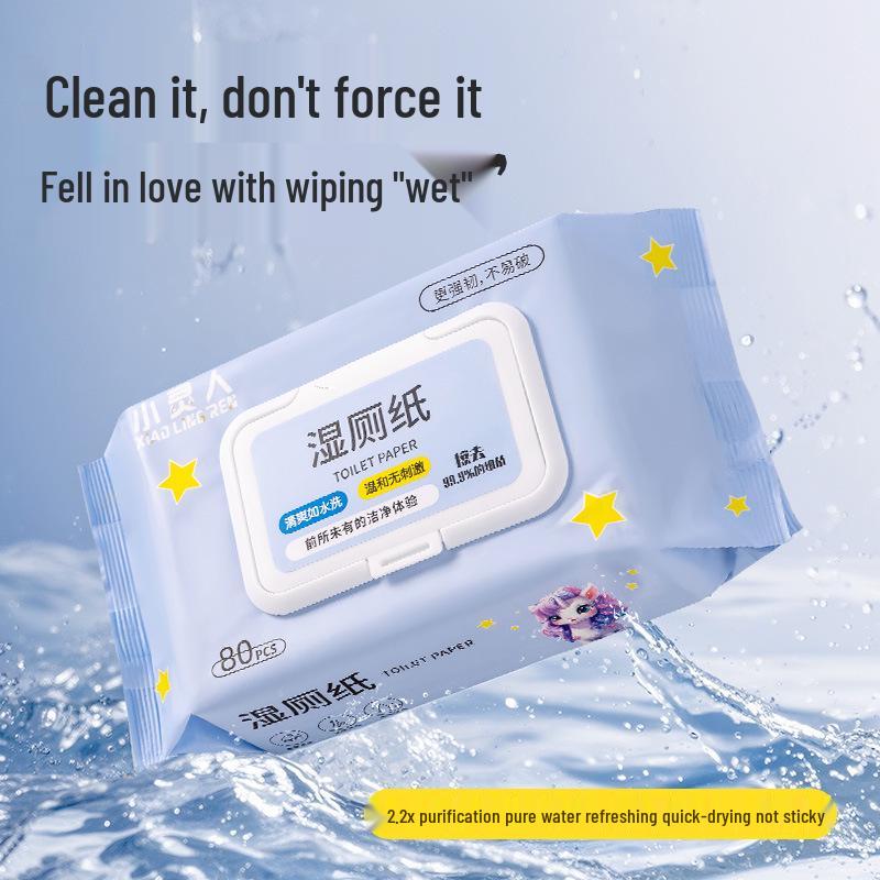 Flushable Hygiene Wet Wipes 80 Sheets - Large Pack for Household Cleaning