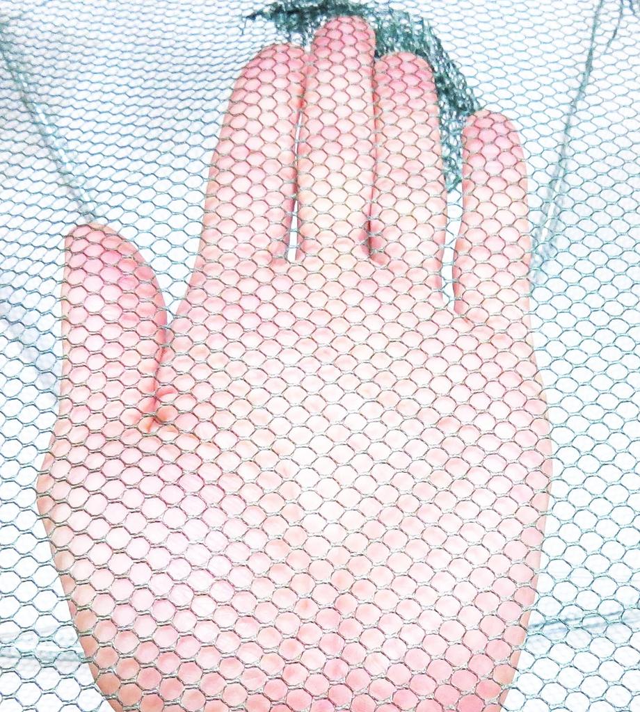 MBK Cage Invasion Type Fishing Net for Secure Capture Just Add Bait and Just Easy Assembly Fishing Net for and Fish 6-Hole Umbrella-Type - Wait! Sink!