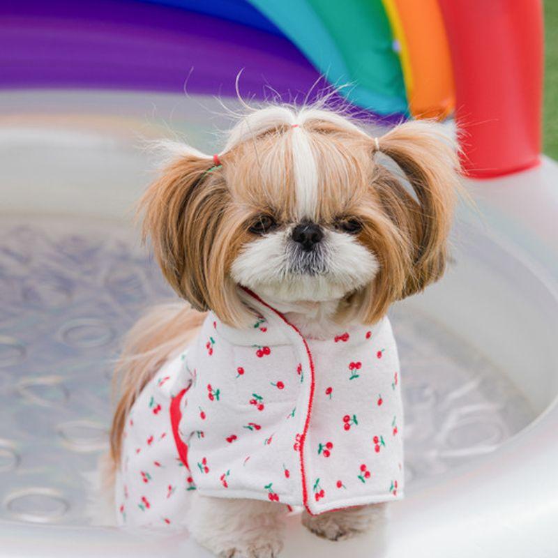 SALTYHEARTY Fruit Robe 2021 TOMATO