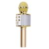 Wireless Microphone Speaker Bluetooth with LED Light Portable Handheld for Karaoke Party