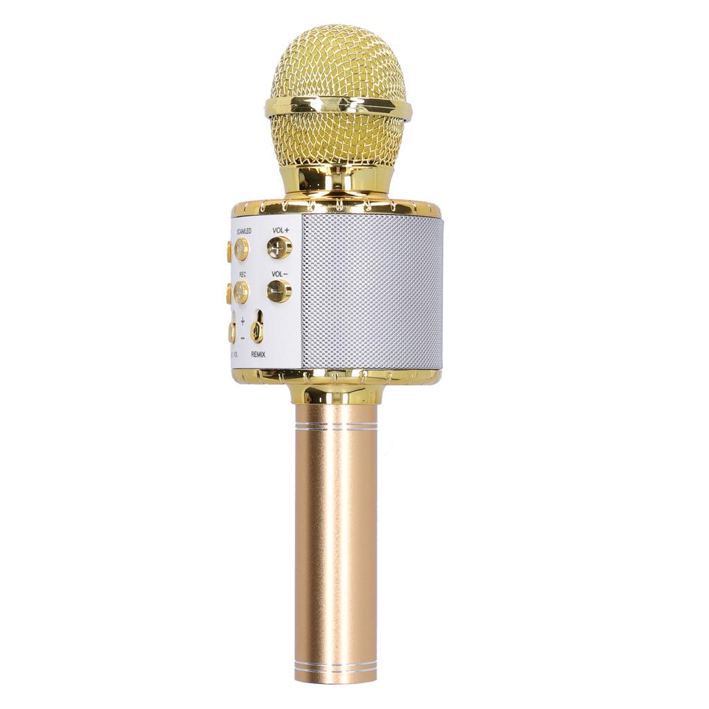 Wireless Microphone Speaker Bluetooth with LED Light Portable Handheld for Karaoke Party