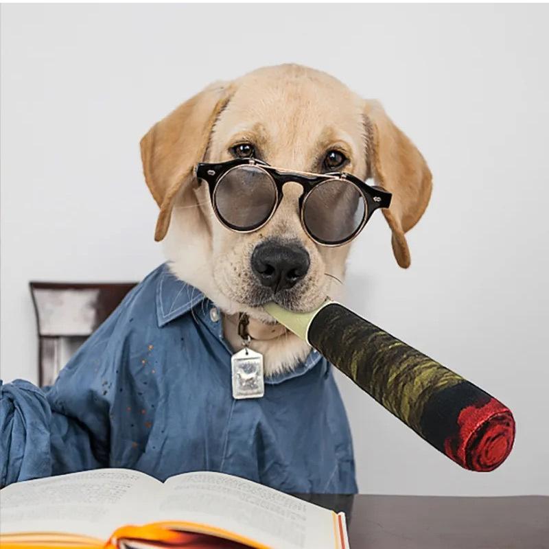 Funny Dog Toys Plush Squeaky Toys For Medium Small Large Cool Stuffed For Dog Birthday Relaxing Toys Pet Supply Resistant Biting