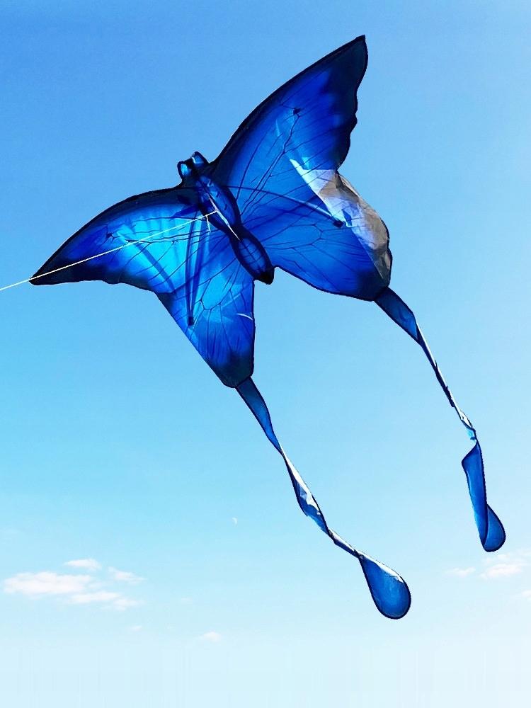 Xxl Kite Butterfly Blue Glowing Led 150Cm