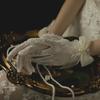 Women Wedding Bridal Short Gloves Net Full Finger See Through Beaded Bow Wrist Length Costume Prom Party Gloves Wedding Mittens