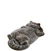 Cute Cartoon Irregular Cashmere-Like Floor Mat, Water Absorbent Anti-Slip Rug for Bathroom Bedroom Home Decor