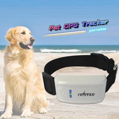 Professional GPS Tracker GPS Collar Waterproof Real Time Locator for Pets