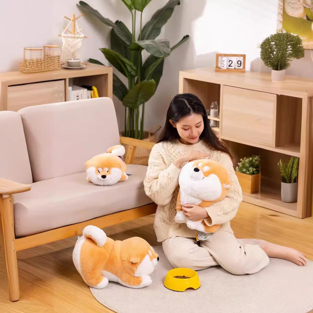 Internet Celebrity New Cute Achai Wolfberry Plush Toy Shiba Dog Doll Children's Birthday Gift Sleeping Doll