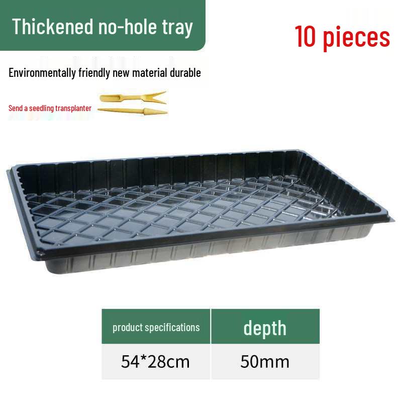 Thickened Plastic Succulent Seedling Tray for Cultivation & Cutting