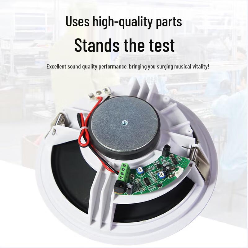 Huidu Professional Coaxial Ceiling Speaker TH-616