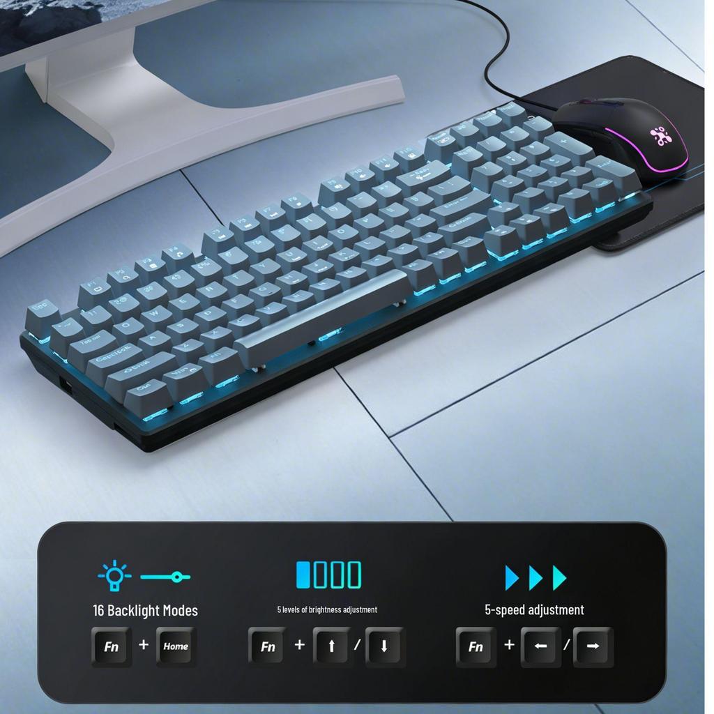 Custom Luminous Wired Mechanical Keyboard & Silent Gaming Mouse Set