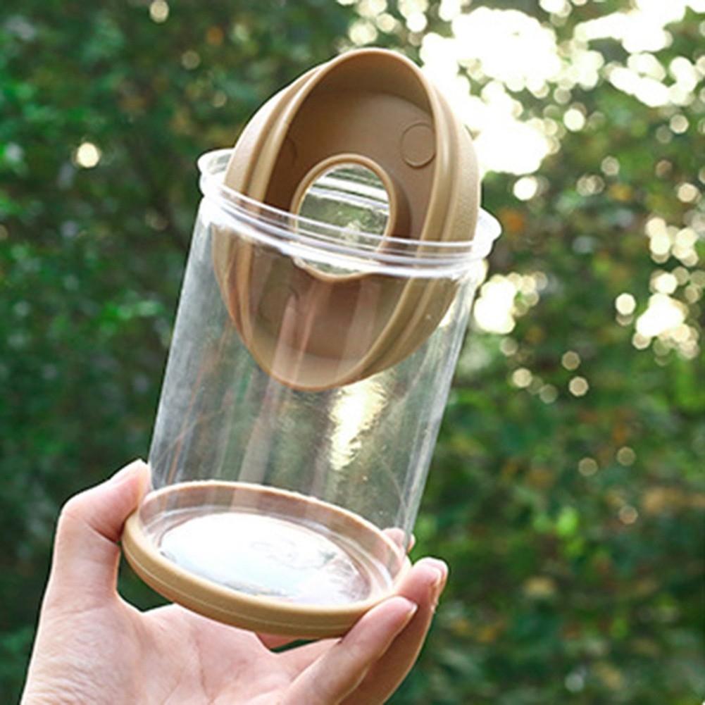Breathable Clear Plant Container for Small Indoor Gardens and Decor