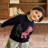 Boys' Fleece Sweater for Autumn and Winter, Thickened Round-Neck Knitwear for Children, Baby Base Shirt, Children's Clothing, Girls' Knitwear