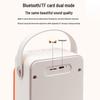 Edifier PP203 Portable Mini KTV Bluetooth Speaker CN plug (adapter included)