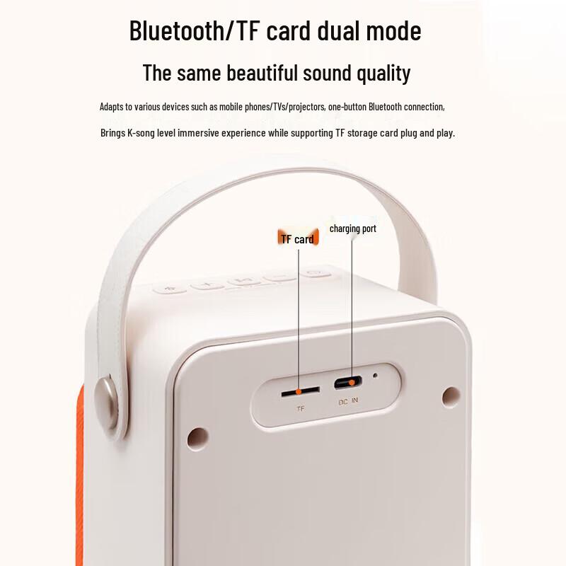 Edifier PP203 Portable Mini KTV Bluetooth Speaker CN plug (adapter included)