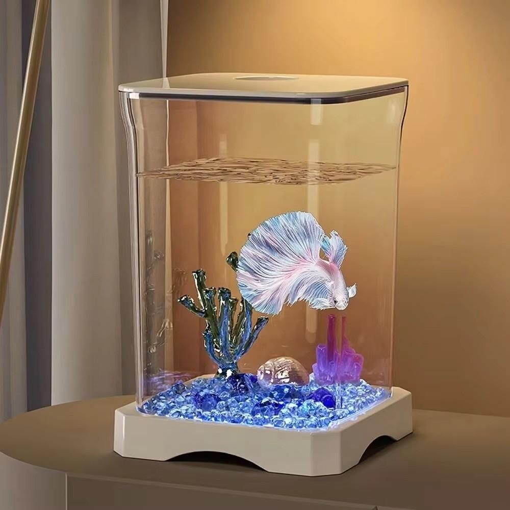 Acrylic Fish Feeding Box Multipurpose Transparent Tank New Small Tank
