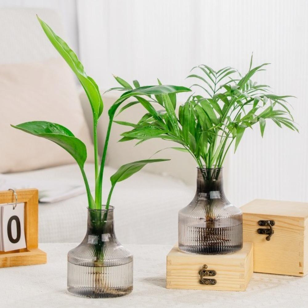 Light Luxury Transparent Hydroponic Plants Pot Plastic Home Decoration Flowerpot Table Vase