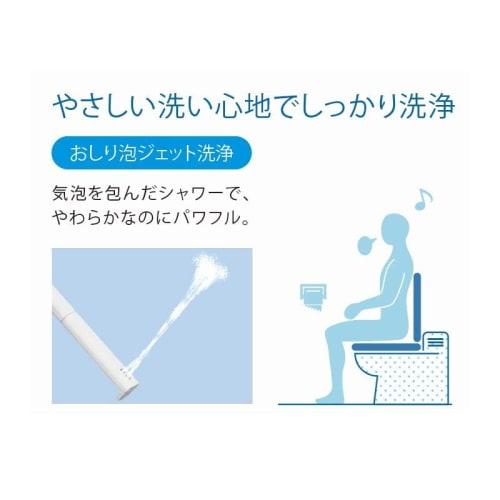 LIXIL INAX Warm Water Wash Toilet Seat [Made in Japan] 2 Year Warranty with Deodorizing Function Hot Water Storage Type Shower Toilet RG Series Pure W