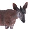 Okapi Wildlife Animal Figurine Model Action Figure kids children toy Gift