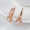 Fashion rose earrings women's zircon stud earrings wind ear buckle ear jewelry
