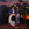 LP-Schallplatte SWEETHEARTS OF THE RODEO One Time One Night C40814 Columbia 1988 US Pop Gebraucht
