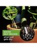 3pcs Cactus Shaped Plant Automatic Watering Device, Cute Decorative Design