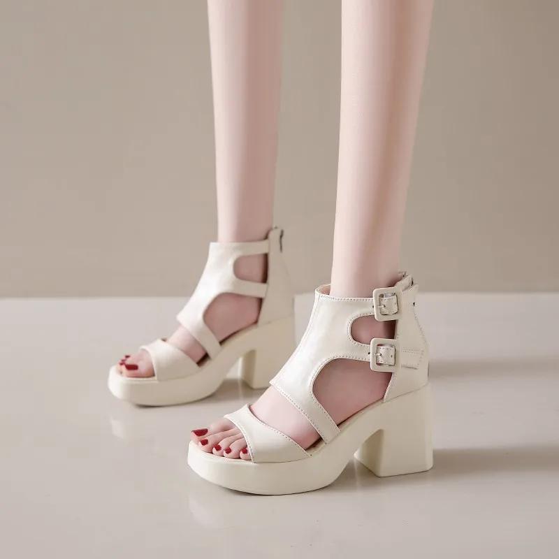 Fashion Europe and America Retro Platform High Heels Women 2024 New Summer Fashion Belt Buckle Open Toe Waterproof Platform Sandals