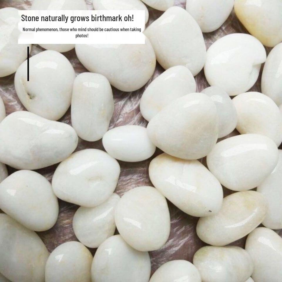 Polished White Natural Pebble Stones for Hydroponics, Fish Tanks, Landscaping, and Balcony Decor