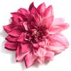 2/5Pcs 14cm Big Artificial Flowers Party Home Room Decor Mariage Garden Wedding Decoration Fake Flowers DIY Bride Gift Accessory