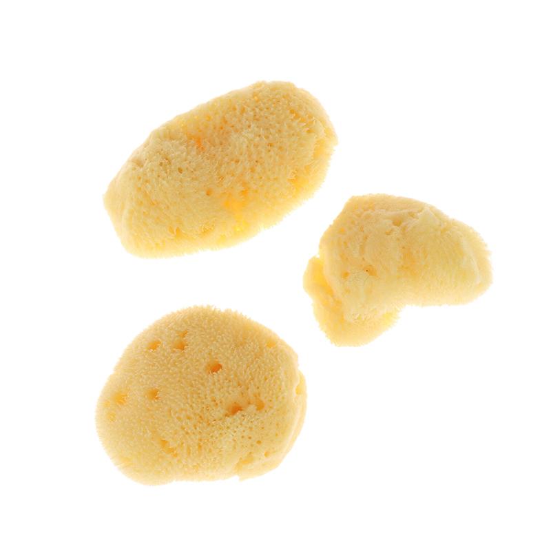 Special Texture Production Cleaning Tool Natural Greek Sponge Watercolor Painting With Absorbent Sponge Wiping Pen Painting