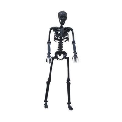 Accessoires d'Halloween Os Humain Réaliste Corps Entier Articulations Flexibles Plastique Portable Décoration Intérieur Extérieur