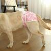 Elastic Waist Dog Physiological Pants Leak-Proof Dog Sanitary Panties  Physiological Safety