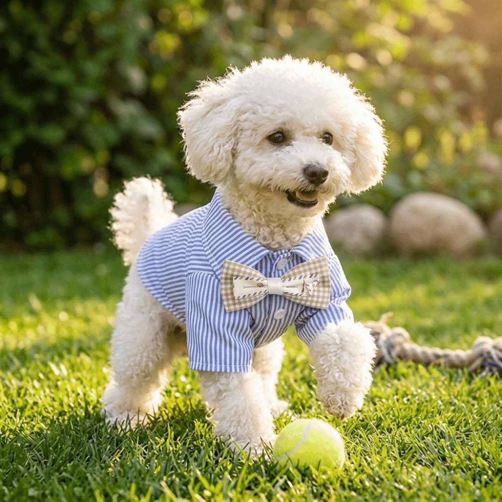 Striped Pattern Pet Clothes Thin Lightweight Canine Apparel Small Breed Dog Shirt  Home Leisure