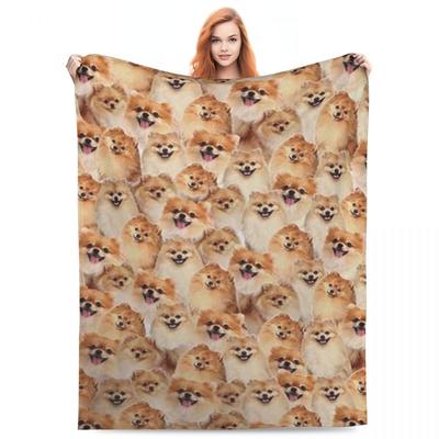 Pomeranian Deka Domácí mazlíček Pes Piknik Flanelová Přehozová Deka Měkká Odolná Design Ložnice Přehoz K Narozeninám