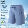 Men's Ice Silk Casual Quick-Dry Shorts