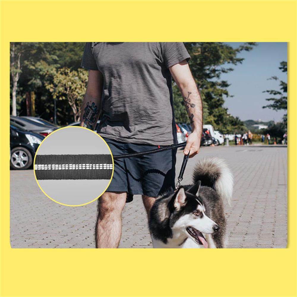 

New Black Outdoor Dog Walking Rope Multifunctional Large Dog Pet Leash Car Dog Leash