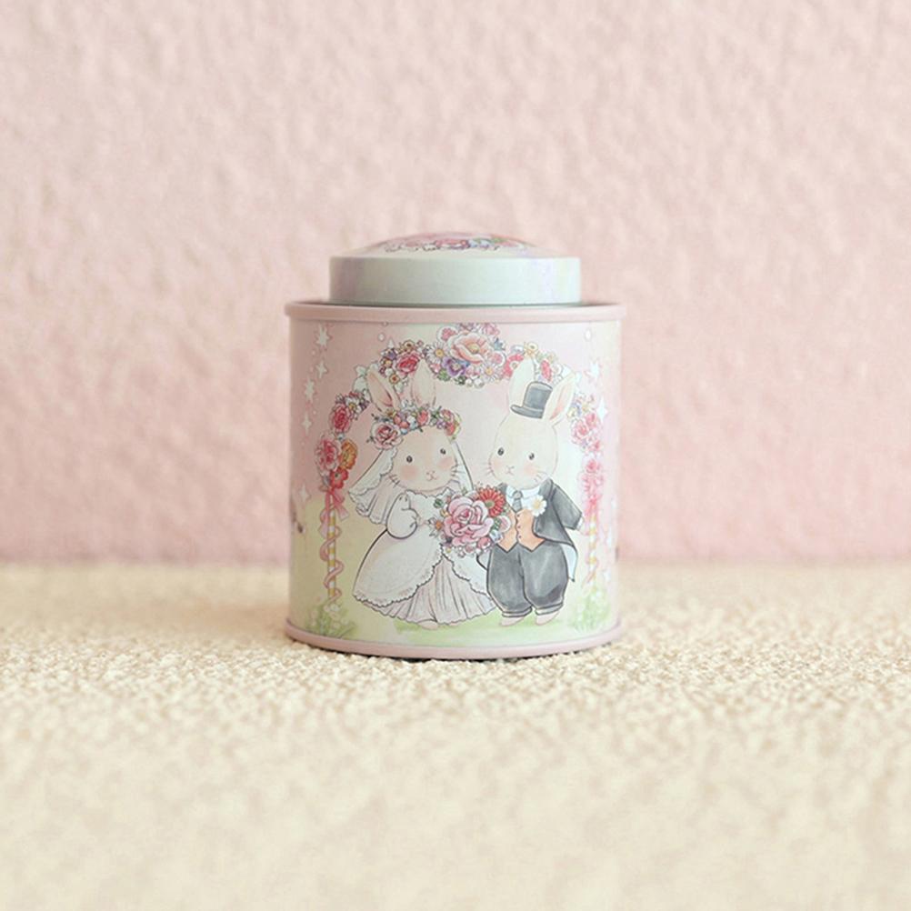 Cartoon Jellycat Rabbit Suitcase Storage Tin Candy Cookie Box Round Metal Jewelry Organizer For Wedding Birthday Party Gift Box