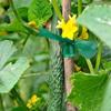 PVC Fruit Tree Seedling Grafting Tape Graft Membrane Garden Bind Belt Plant Binding Band