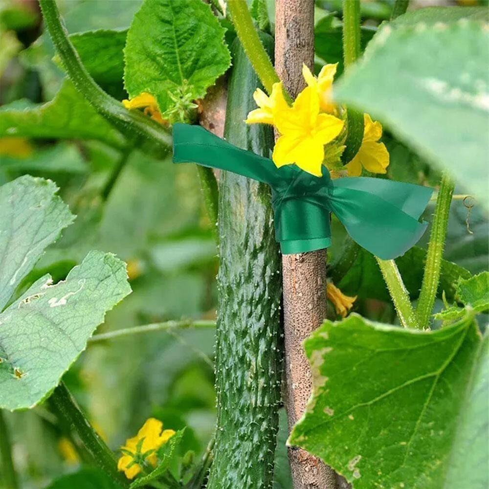 PVC Fruit Tree Seedling Grafting Tape Graft Membrane Garden Bind Belt Plant Binding Band