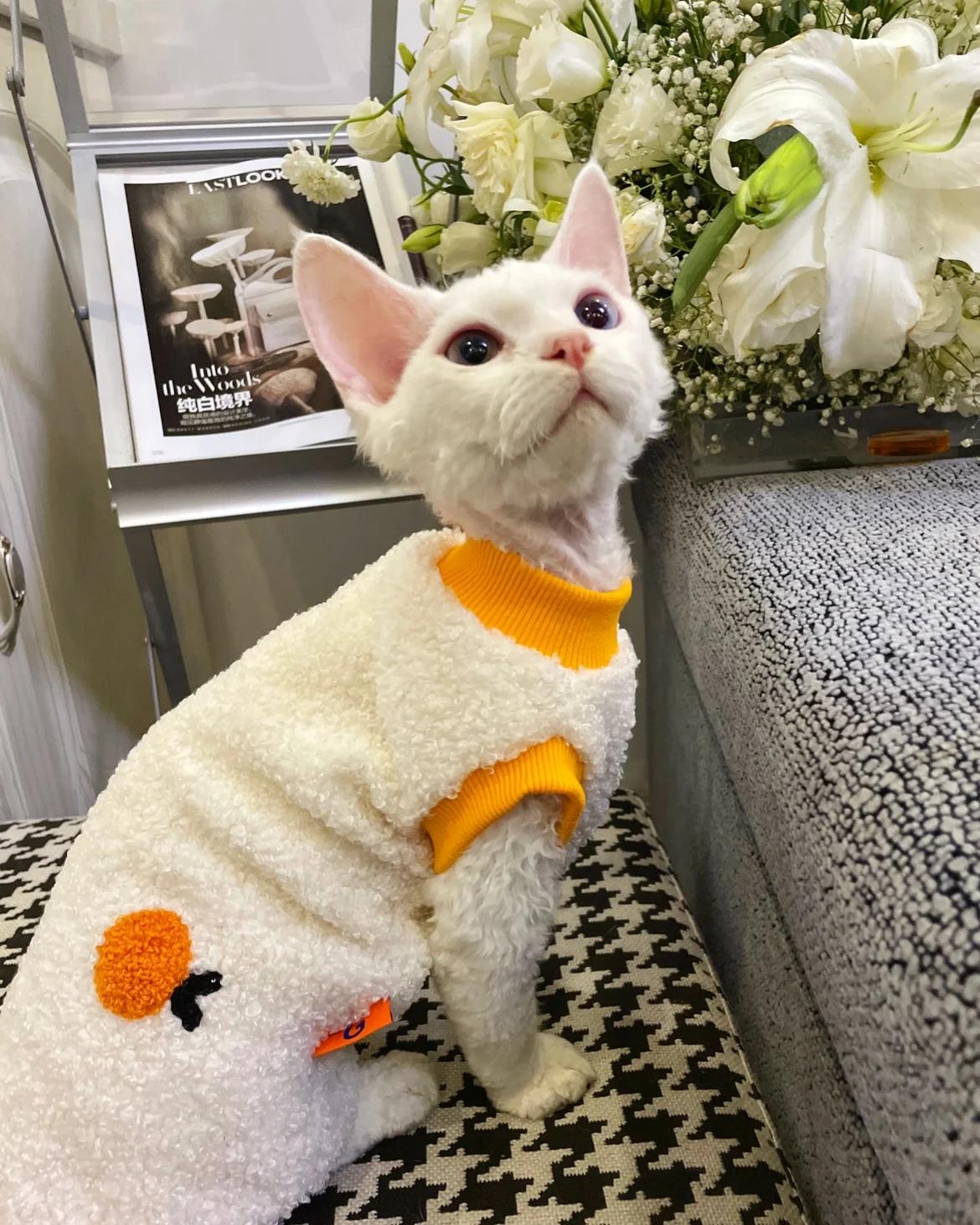 

Cashmere fabric Pet Clothing Hairless Cat Devons Sphynx Pet Cat Dog Autumn Winter Warm Soft Small Dogs Clothes Pet Supplies XS(1-1.5KG)