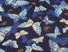Butterfly Gold Stamped Japanese Cotton Fabric for Cheongsam and Hanfu