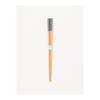Kodomo BEAMS SUNLIFE X Kodomo BEAMS Exclusive Adult Chopsticks (22.5cm) Kids 55710244349 Wakasa Lacquerware Chopsticks with Non-slip Finish,